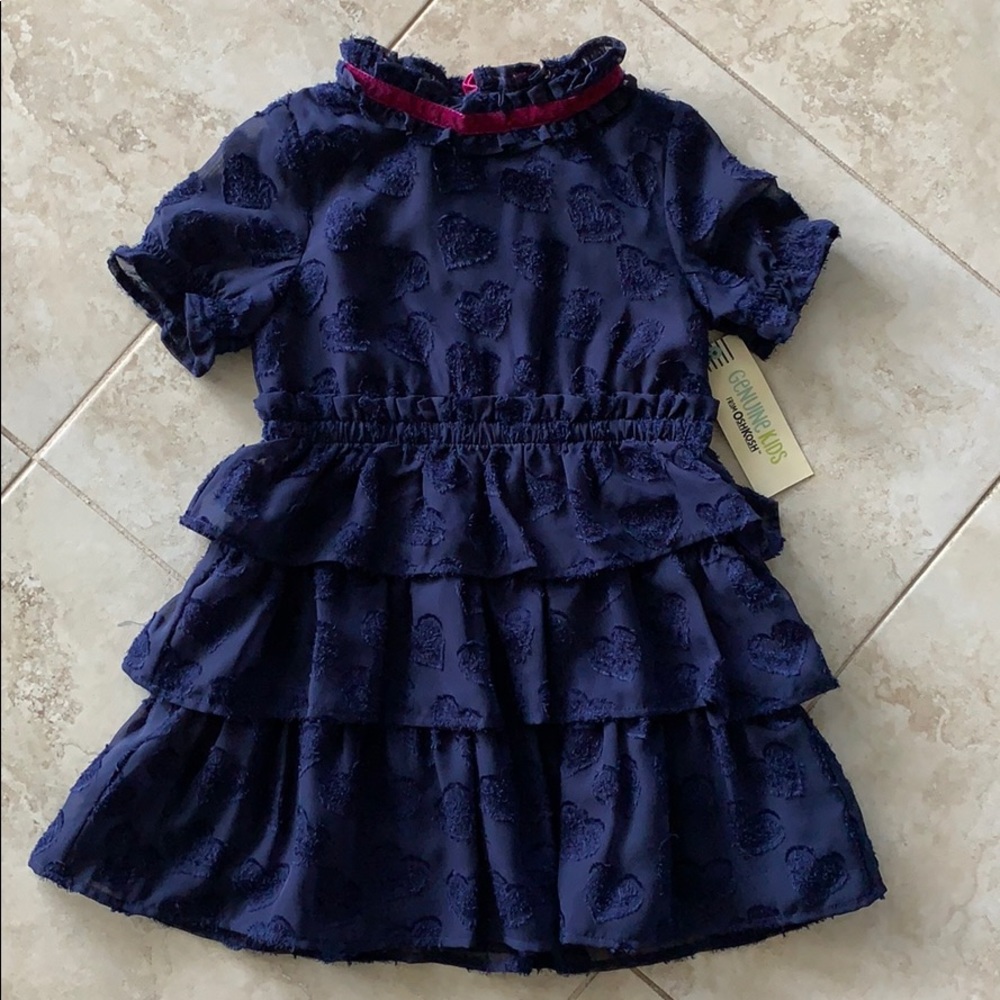 Genuine Kids by Oshkosh Navy Dress size 4T